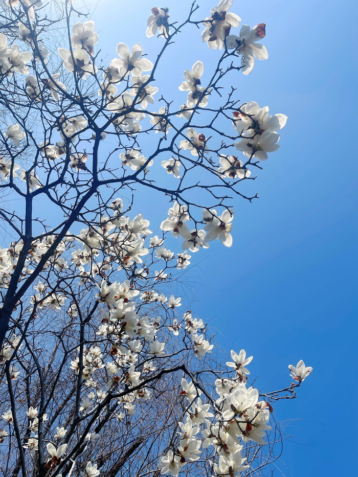 开云app-宁波现树上羽毛球奇观引网友晒图|浙江队|浙江省|宁波市|宁波同城|浙江_新浪体育_新浪新闻